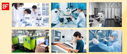 春圖投資設立第三家研發公司，聚焦夫妻共用產品創新與技術轉讓