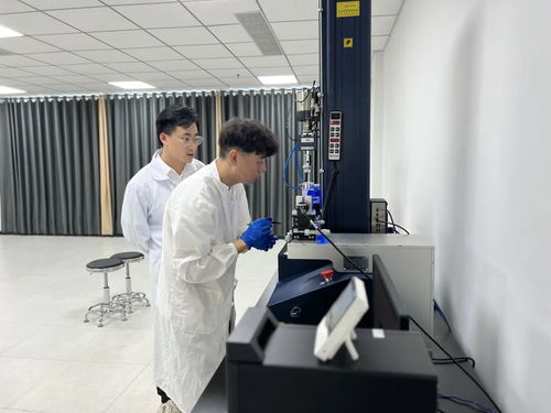 小石頭激活大產業 探訪國家市場監管技術創新中心（玄武巖纖維及先進復合材料）